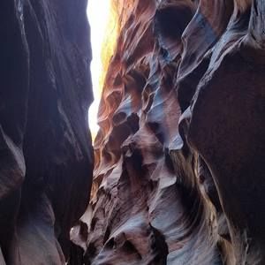 Meet your Posher, Sherri